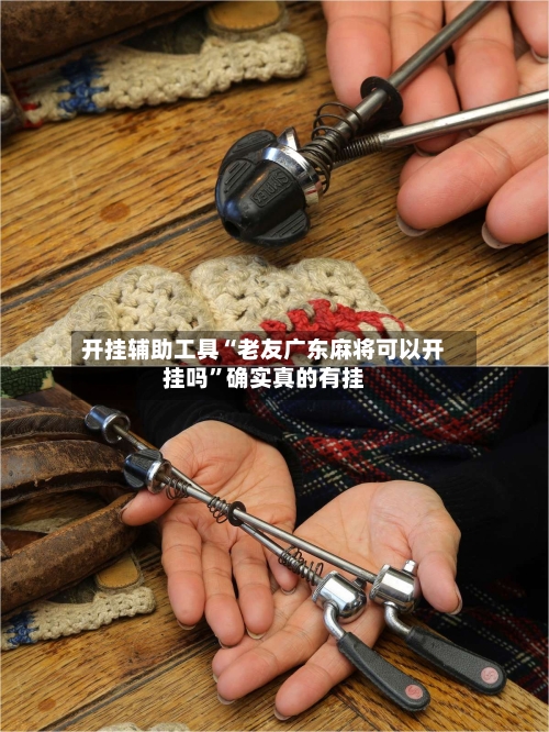 开挂辅助工具“老友广东麻将可以开挂吗”确实真的有挂-第2张图片