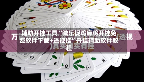 辅助开挂工具“微乐捉鸡麻将开挂免费软件下载+透视挂”开挂辅助软件教程-第3张图片