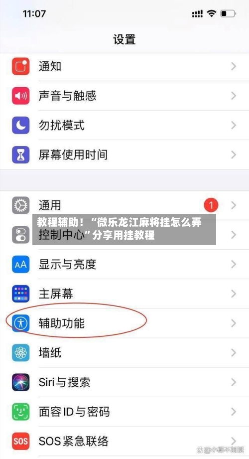 教程辅助！“微乐龙江麻将挂怎么弄”分享用挂教程-第2张图片