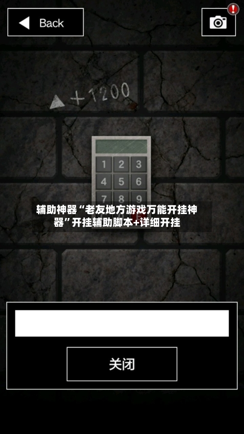 辅助神器“老友地方游戏万能开挂神器	”开挂辅助脚本+详细开挂-第2张图片