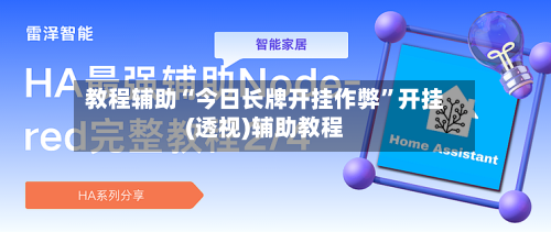 教程辅助“今日长牌开挂作弊”开挂(透视)辅助教程-第3张图片