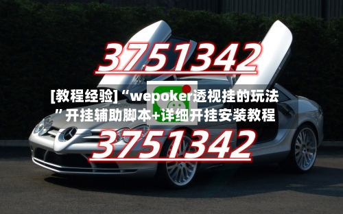 [教程经验]“wepoker透视挂的玩法”开挂辅助脚本+详细开挂安装教程-第3张图片