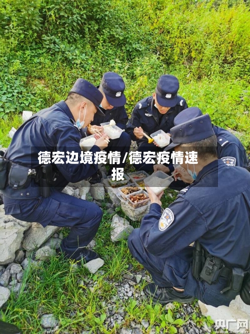 德宏边境疫情/德宏疫情速报-第3张图片