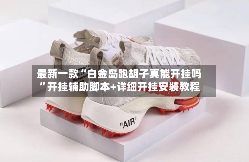 最新一款“白金岛跑胡子真能开挂吗”开挂辅助脚本+详细开挂安装教程-第1张图片