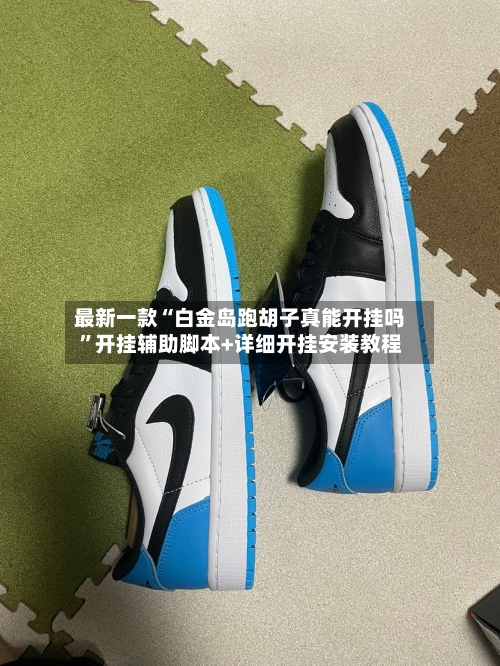 最新一款“白金岛跑胡子真能开挂吗”开挂辅助脚本+详细开挂安装教程-第2张图片