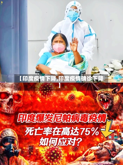 【印度疫情下降,印度疫情确诊下降】-第2张图片