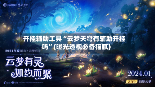 开挂辅助工具“云梦天穹有辅助开挂吗”(曝光透视必备猫腻)-第3张图片