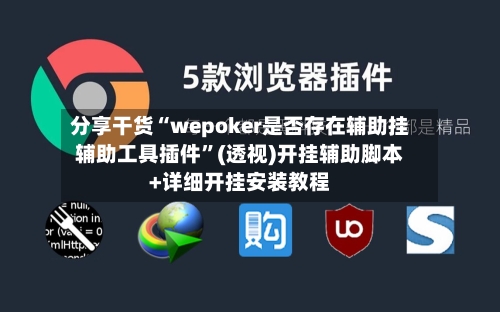 分享干货“wepoker是否存在辅助挂辅助工具插件”(透视)开挂辅助脚本+详细开挂安装教程-第2张图片