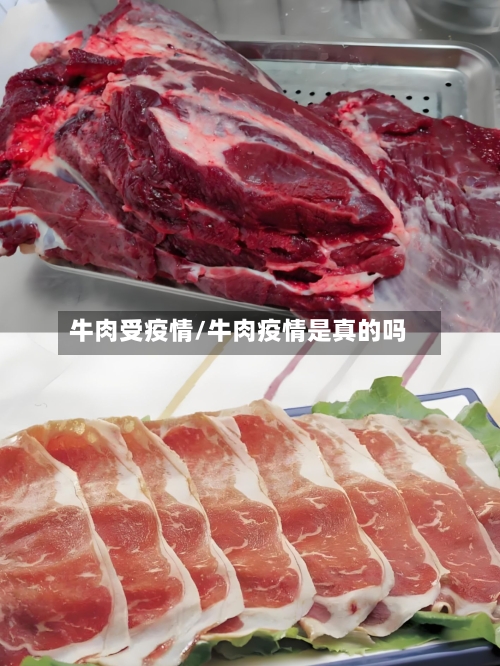 牛肉受疫情/牛肉疫情是真的吗-第1张图片