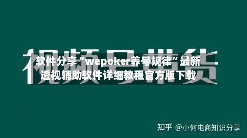 软件分享“wepoker养号规律	”最新透视辅助软件详细教程官方版下载-第3张图片