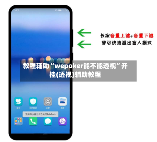 教程辅助“wepoker能不能透视”开挂(透视)辅助教程-第2张图片