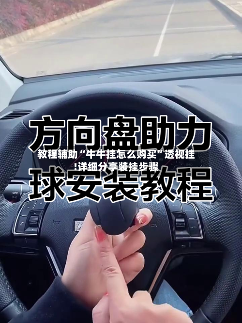 教程辅助“牛牛挂怎么购买”透视挂!详细分享装挂步骤-第3张图片