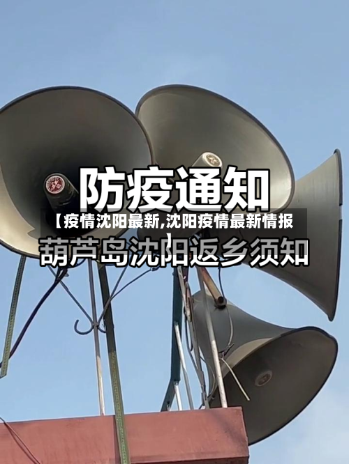 【疫情沈阳最新,沈阳疫情最新情报】-第3张图片