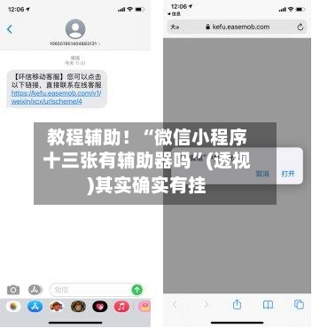 教程辅助！“微信小程序十三张有辅助器吗	”(透视)其实确实有挂-第2张图片