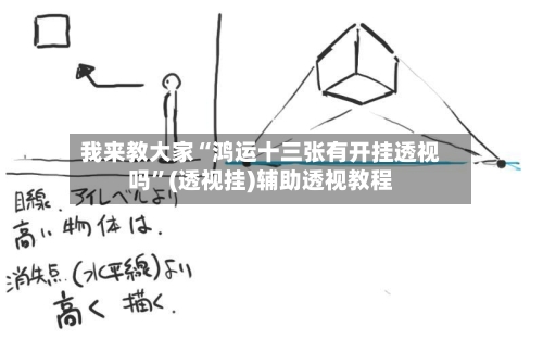 我来教大家“鸿运十三张有开挂透视吗”(透视挂)辅助透视教程-第3张图片