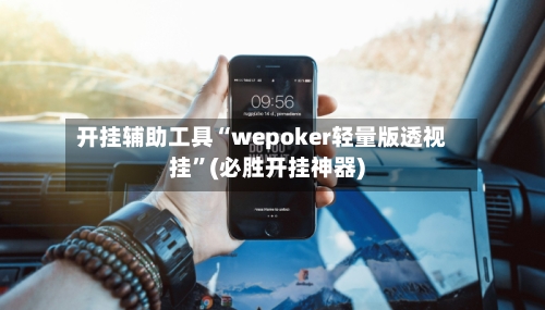 开挂辅助工具“wepoker轻量版透视挂”(必胜开挂神器)-第3张图片