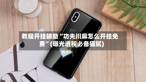 教程开挂辅助“功夫川麻怎么开挂免费”(曝光透视必备猫腻)-第2张图片