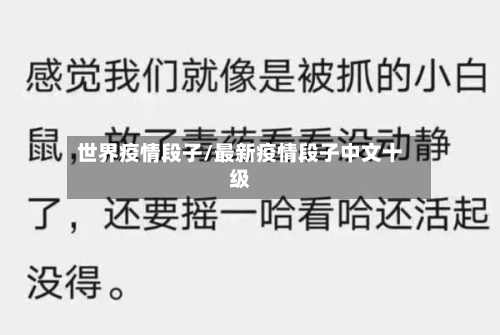 世界疫情段子/最新疫情段子中文十级-第3张图片