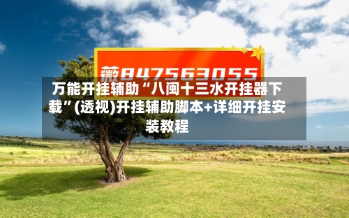 万能开挂辅助“八闽十三水开挂器下载”(透视)开挂辅助脚本+详细开挂安装教程-第3张图片