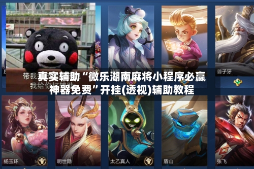 真实辅助“微乐湖南麻将小程序必赢神器免费”开挂(透视)辅助教程-第3张图片