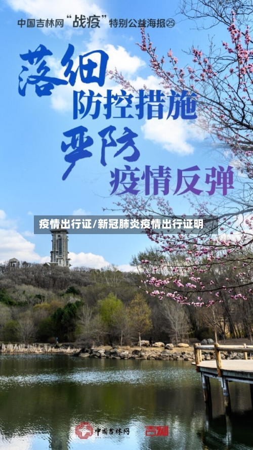 疫情出行证/新冠肺炎疫情出行证明-第2张图片