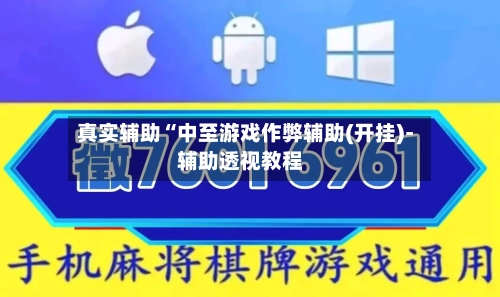 真实辅助“中至游戏作弊辅助(开挂)-辅助透视教程-第3张图片