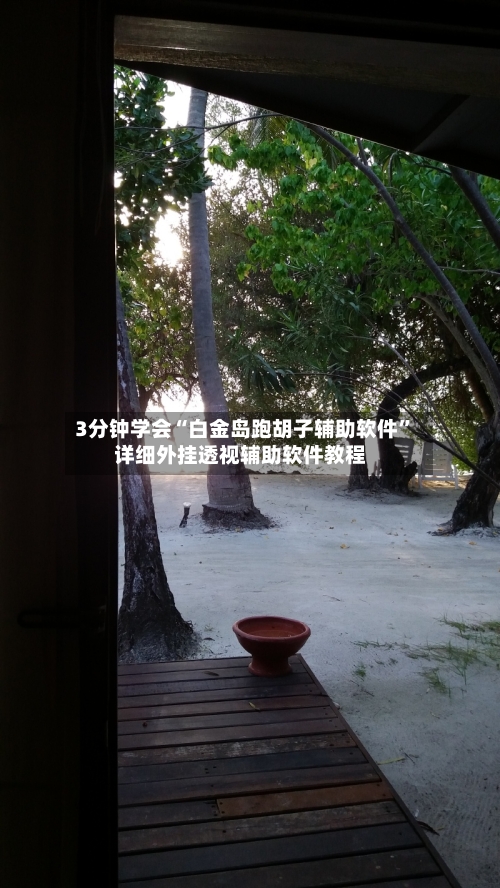 3分钟学会“白金岛跑胡子辅助软件	”详细外挂透视辅助软件教程-第3张图片