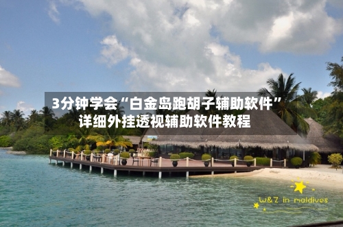 3分钟学会“白金岛跑胡子辅助软件”详细外挂透视辅助软件教程-第1张图片