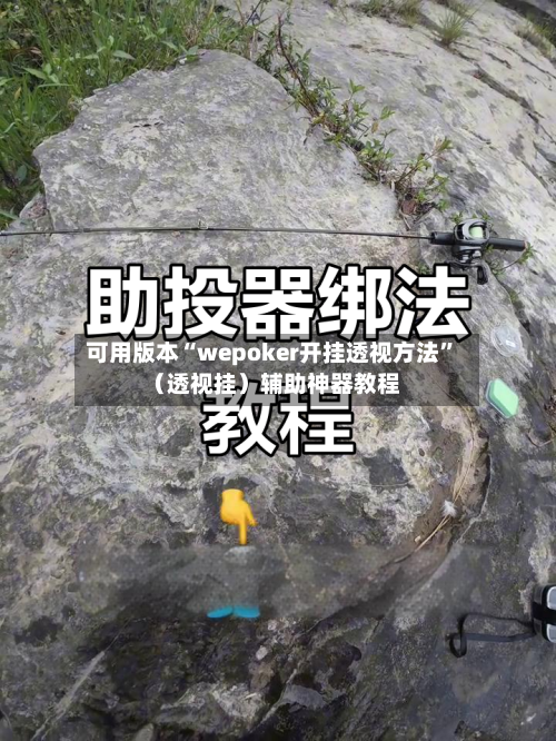 可用版本“wepoker开挂透视方法”（透视挂）辅助神器教程-第2张图片
