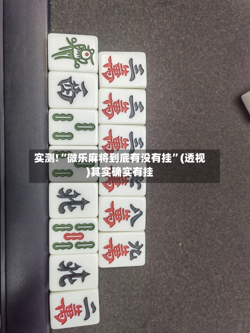 实测!“微乐麻将到底有没有挂”(透视)其实确实有挂-第1张图片