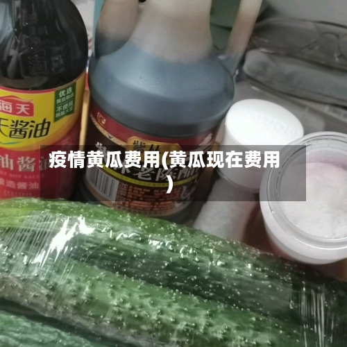 疫情黄瓜费用(黄瓜现在费用)-第2张图片