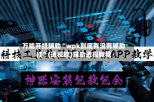 万能开挂辅助“wpk到底有没有辅助挂”(透视挂)辅助透视教程-第2张图片