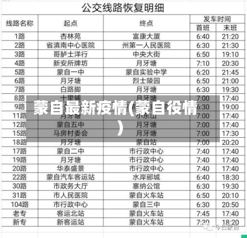 蒙自最新疫情(蒙自役情)-第2张图片