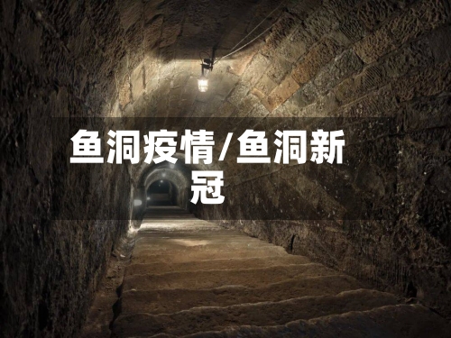 鱼洞疫情/鱼洞新冠-第1张图片
