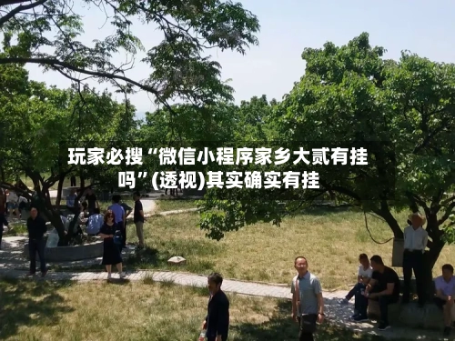 玩家必搜“微信小程序家乡大贰有挂吗”(透视)其实确实有挂-第3张图片