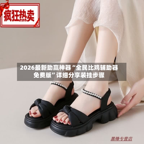 2026最新助赢神器“全民比鸡辅助器免费版	”详细分享装挂步骤-第1张图片