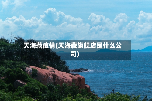 天海藏疫情(天海藏旗舰店是什么公司)-第1张图片