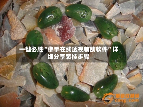 一键必胜“佛手在线透视辅助软件”详细分享装挂步骤-第1张图片