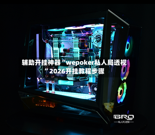 辅助开挂神器“wepoker私人局透视	”2026开挂教程步骤-第2张图片