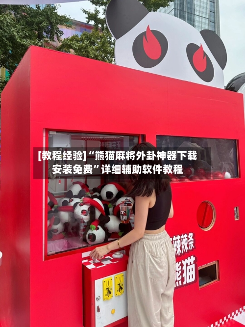 [教程经验]“熊猫麻将外卦神器下载安装免费”详细辅助软件教程-第2张图片