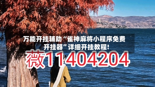 万能开挂辅助“雀神麻将小程序免费开挂器	”详细开挂教程!-第2张图片