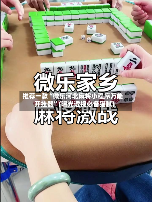 推荐一款“微乐河北麻将小程序万能开挂器”(曝光透视必备猫腻)-第2张图片
