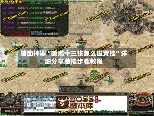 辅助神器“嘟嘟十三张怎么设置挂”详细分享装挂步骤教程-第3张图片