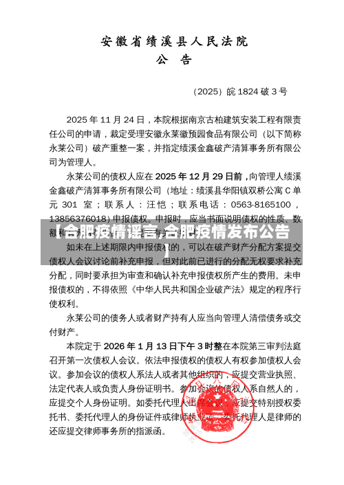 【合肥疫情谣言,合肥疫情发布公告】-第2张图片