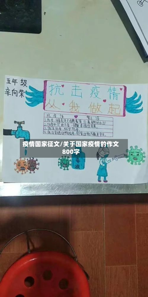 疫情国家征文/关于国家疫情的作文800字-第2张图片
