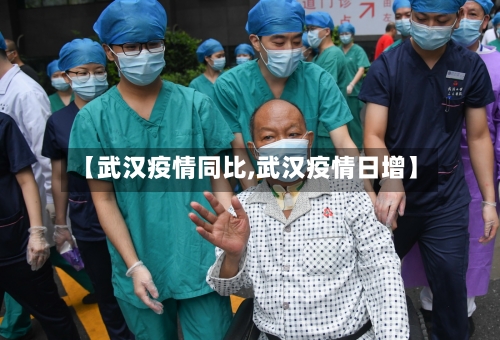 【武汉疫情同比,武汉疫情日增】-第3张图片