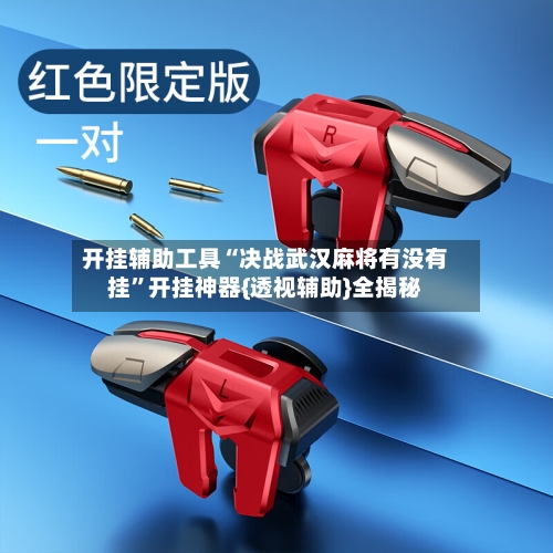 开挂辅助工具“决战武汉麻将有没有挂”开挂神器{透视辅助}全揭秘-第1张图片