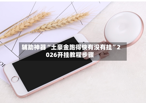 辅助神器“土豪金跑得快有没有挂”2026开挂教程步骤-第1张图片