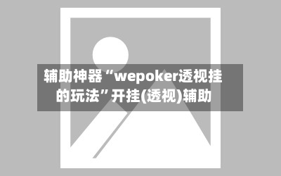 辅助神器“wepoker透视挂的玩法”开挂(透视)辅助-第2张图片