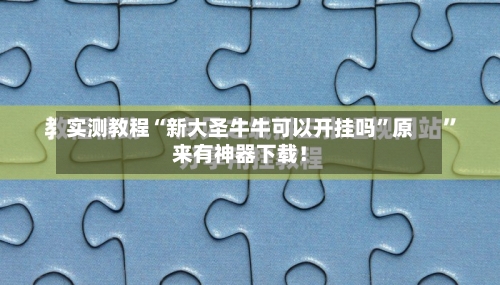 实测教程“新大圣牛牛可以开挂吗”原来有神器下载！-第2张图片